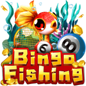 Câu Cá Bingo 32wim